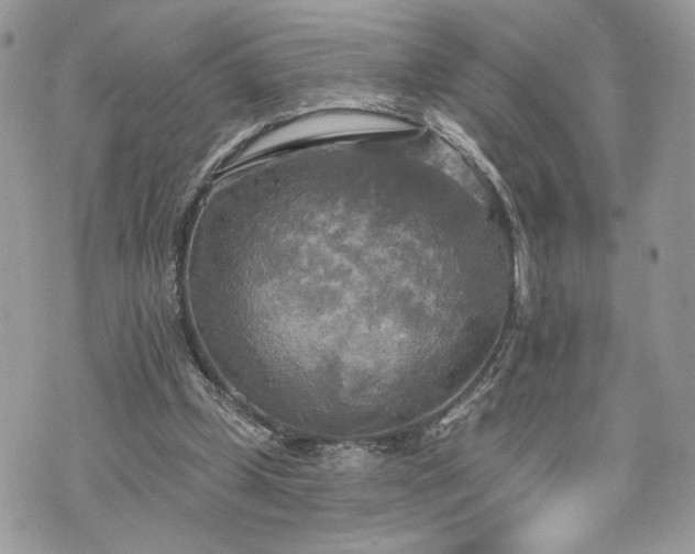 X0000070360249200606161259