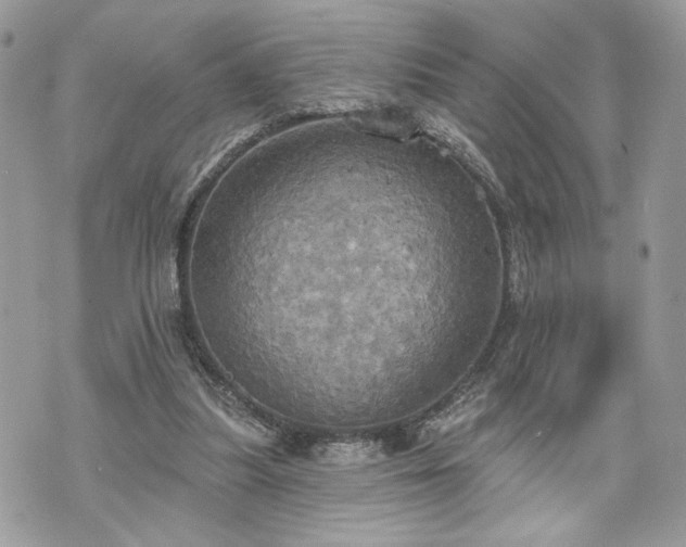 X0000070360251200606161259