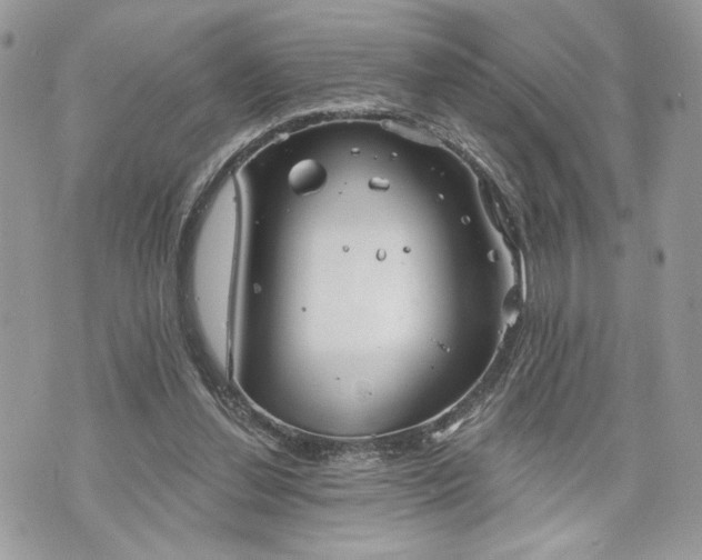 X0000070360252200606161259