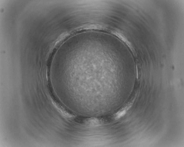 X0000070360253200606161259