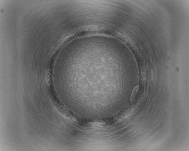 X0000070360255200606161259