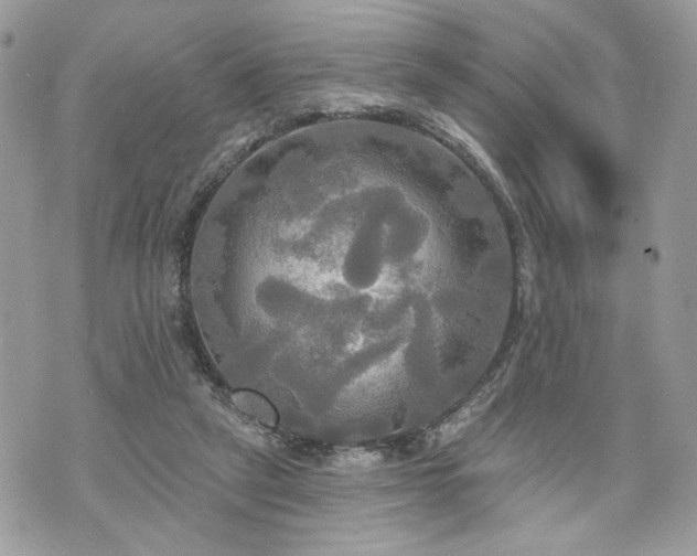 X0000070360257200606161259