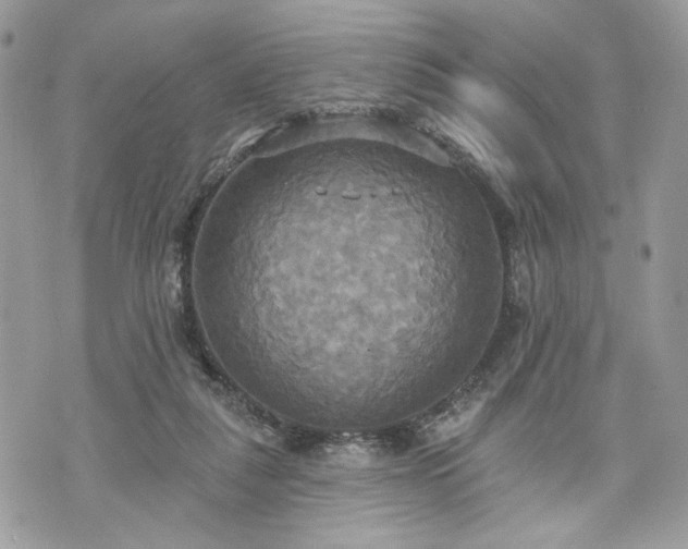 X0000070360259200606161259