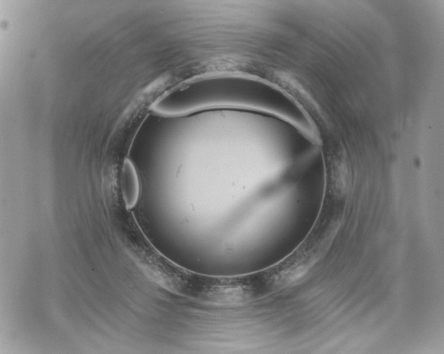 X0000070360260200606161259