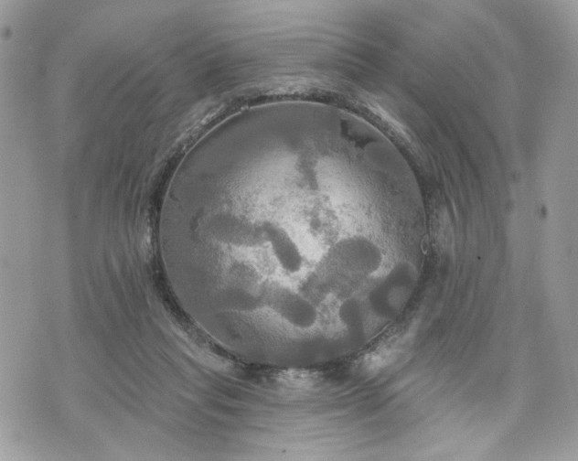 X0000070360261200606161259