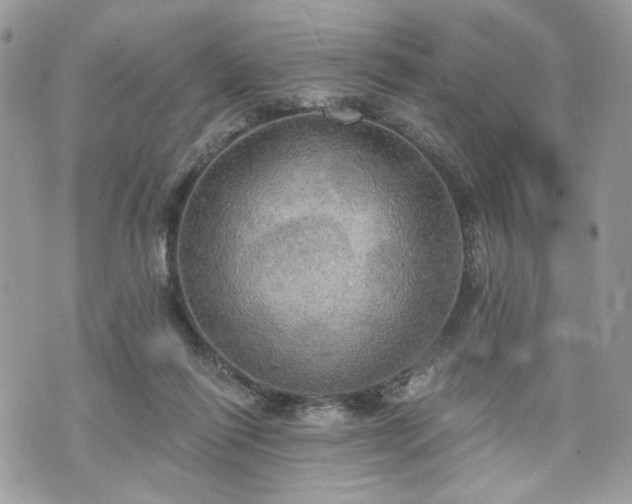 X0000070360262200606161259