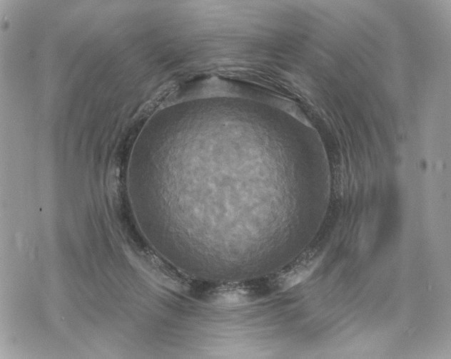 X0000070360263200606161259