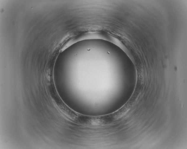 X0000070360264200606161259