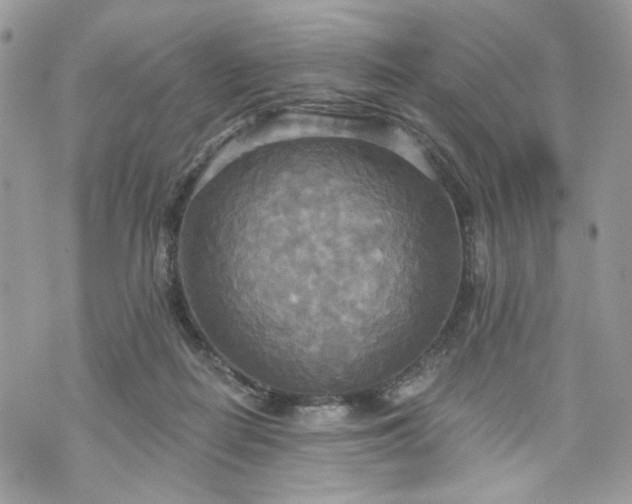 X0000070360266200606161259