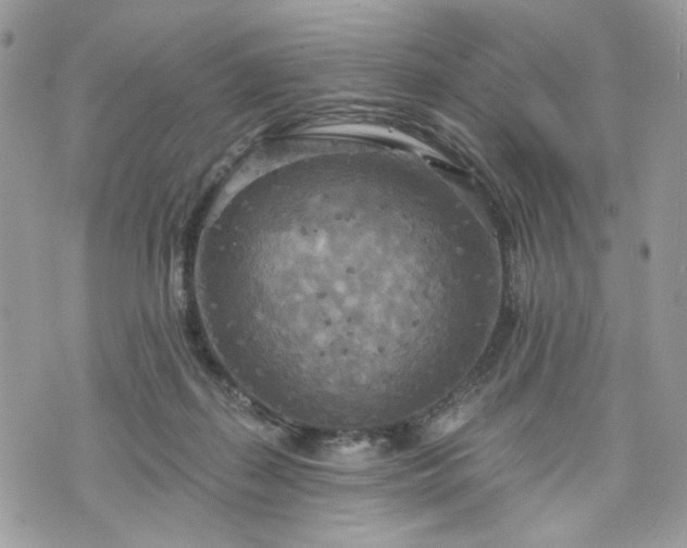 X0000070360267200606161259