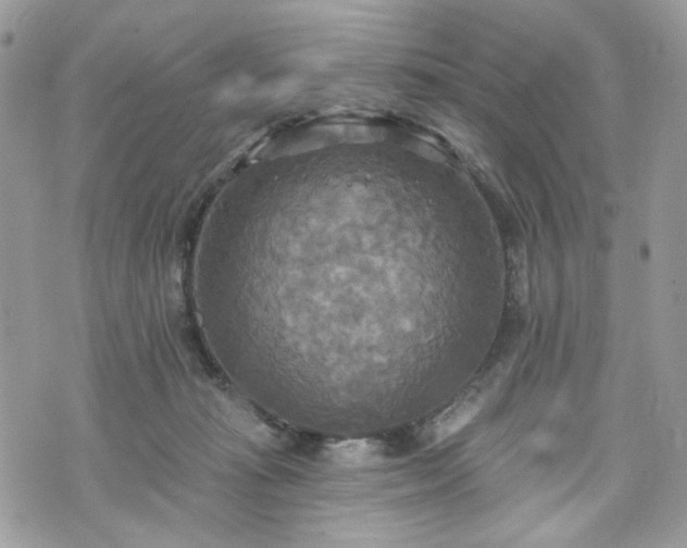 X0000070360269200606161259