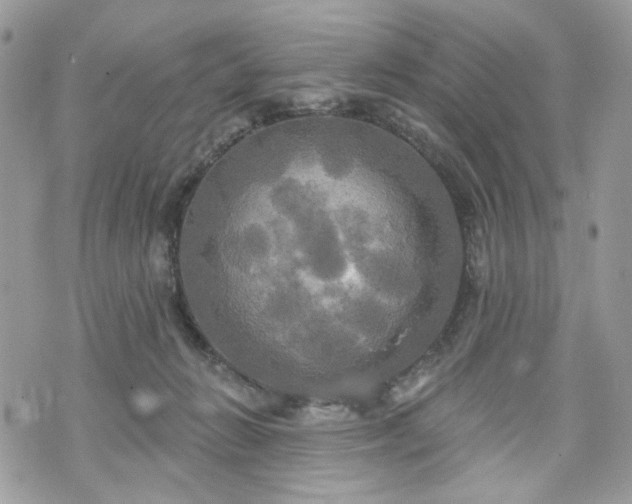 X0000070360270200606161259