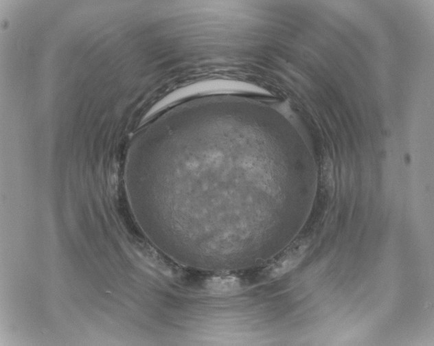 X0000070360271200606161259