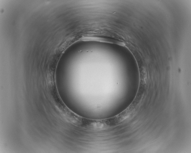 X0000070360272200606161259