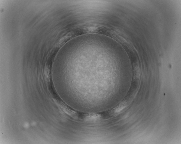 X0000070360274200606161259