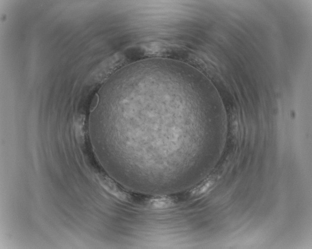 X0000070360275200606161259