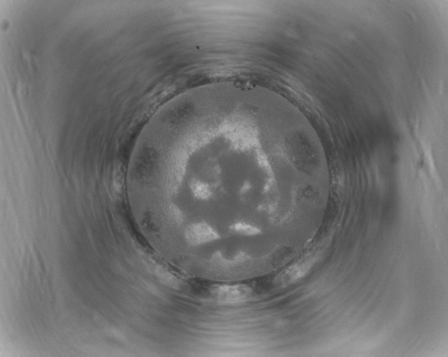 X0000070360277200606161259