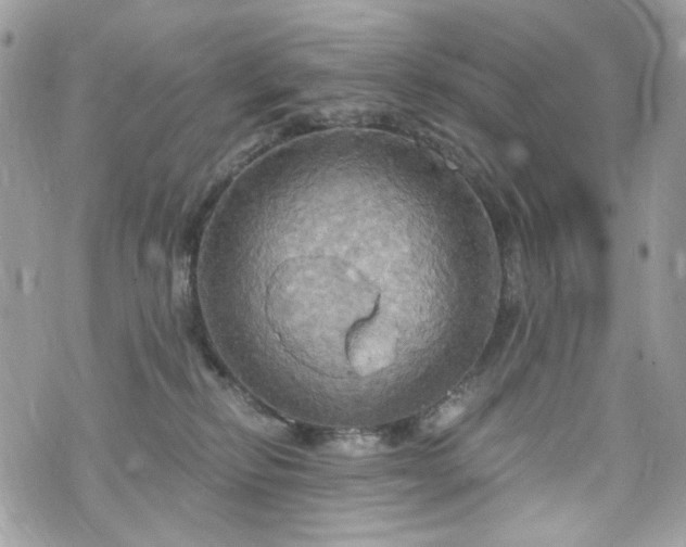 X0000070360278200606161259