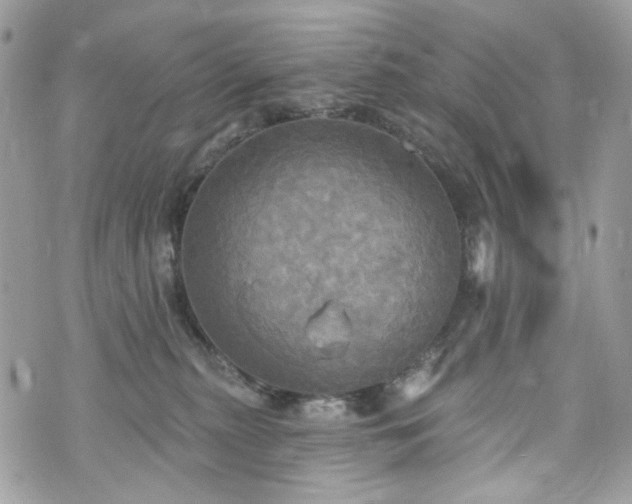 X0000070360279200606161259