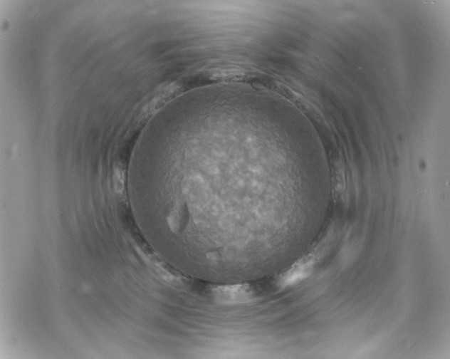 X0000070360281200606161259