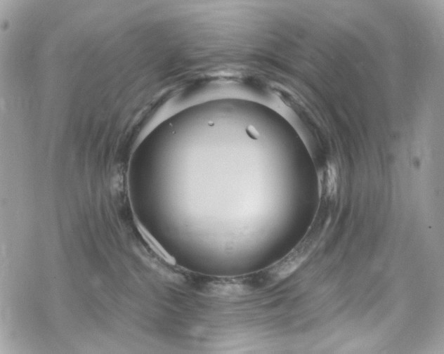 X0000070360284200606161259