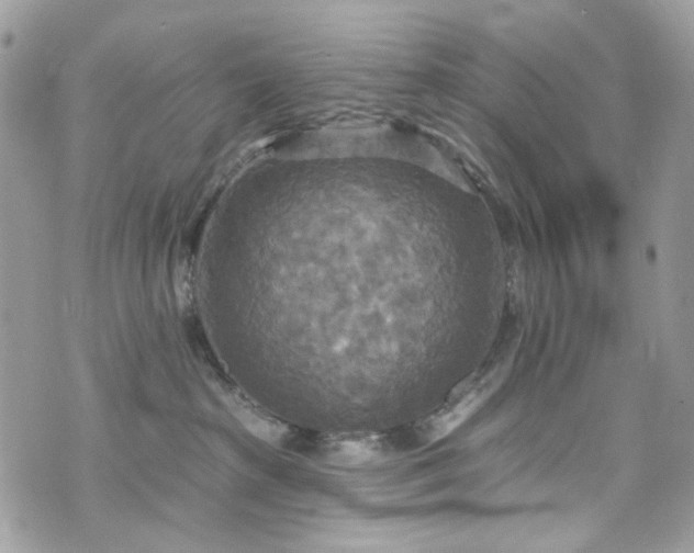 X0000070360285200606161259