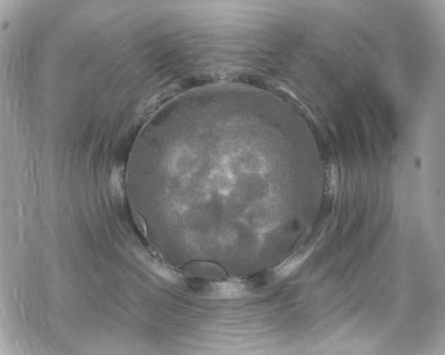 X0000070360286200606161259