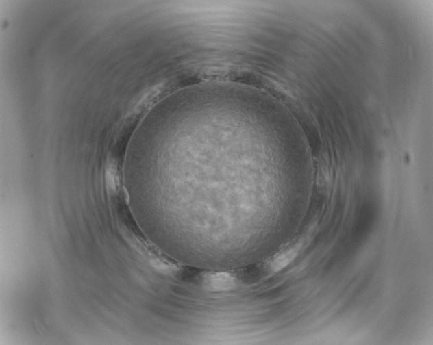 X0000070360287200606161259