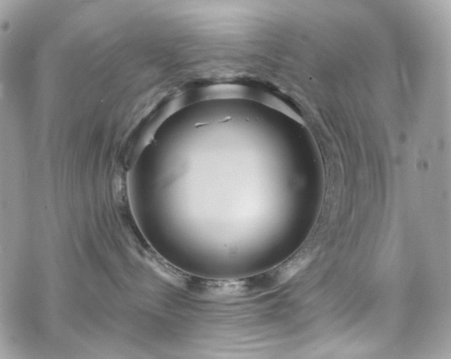 X0000070360288200606161259