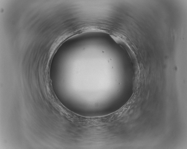 X0000070360289200606161259