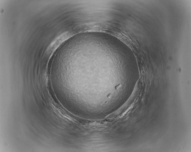 X0000070360290200606161259