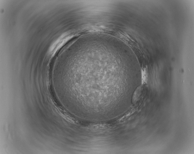 X0000070360291200606161259