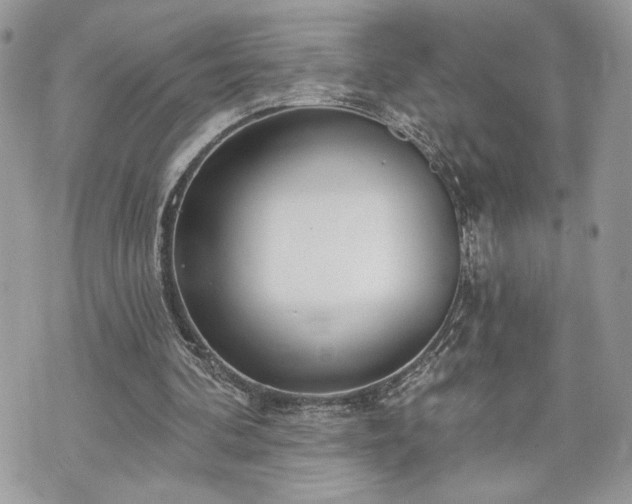 X0000070360292200606161259