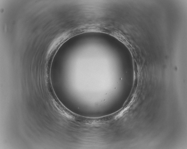 X0000070360293200606161259