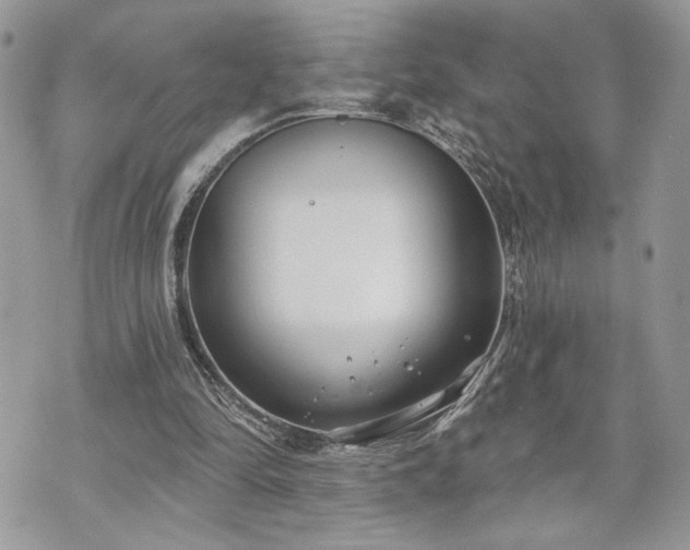 X0000070360294200606161259