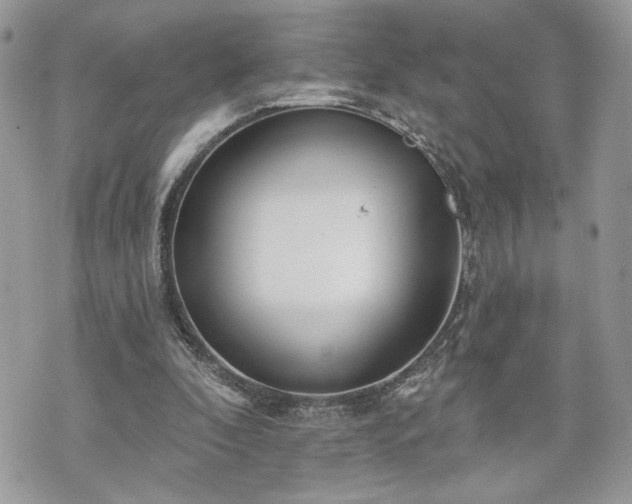 X0000070360296200606161259