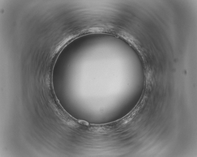 X0000070360297200606161259