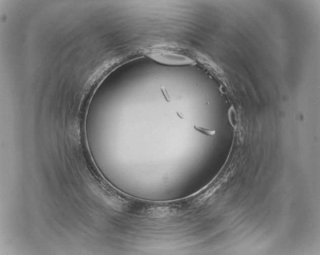 X0000070360298200606161258