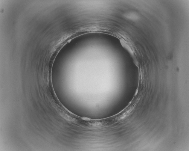 X0000070360301200606161258