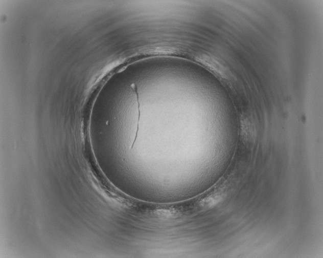 X0000070360302200606161258