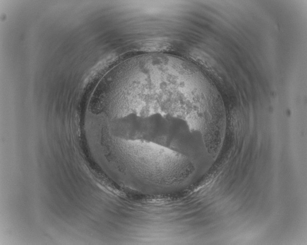 X0000070360303200606161258