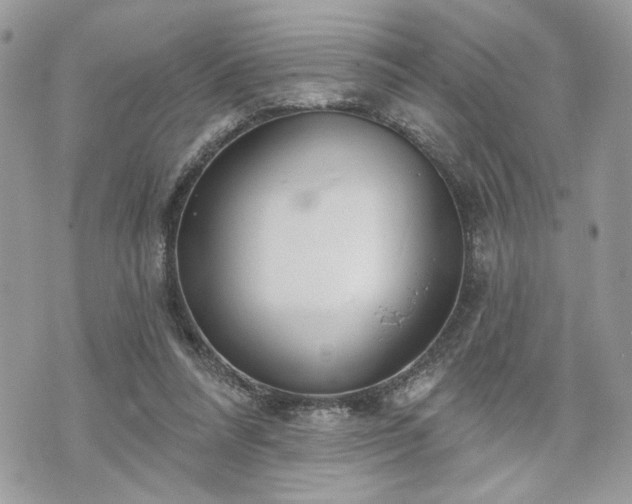 X0000070360304200606161258