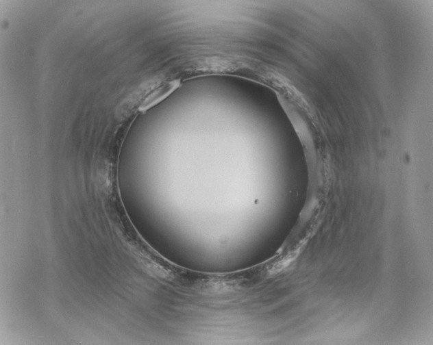 X0000070360305200606161258