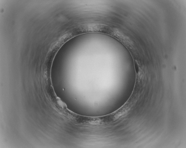 X0000070360306200606161258