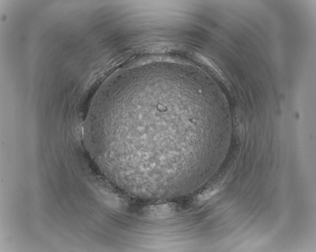 X0000070360307200606161258