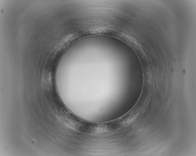 X0000070360308200606161258