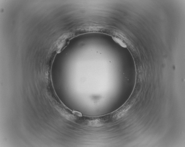 X0000070360309200606161258