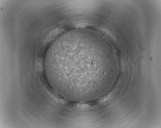 X0000070360311200606161258