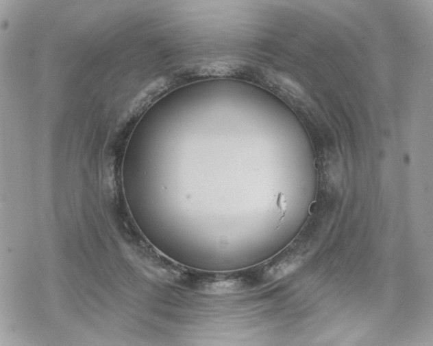 X0000070360312200606161258