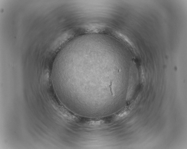 X0000070360314200606161258